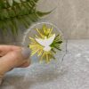 Lembrança para batizado Divino Espírito Santo - Image 4