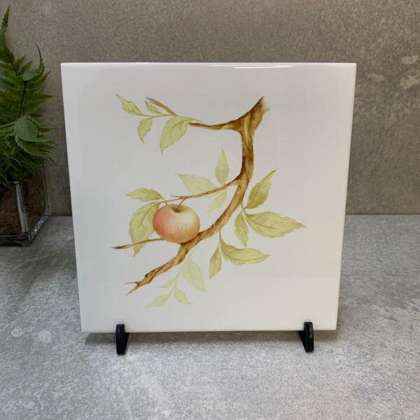 Azulejo de cerâmica "GALHO MAÇA"